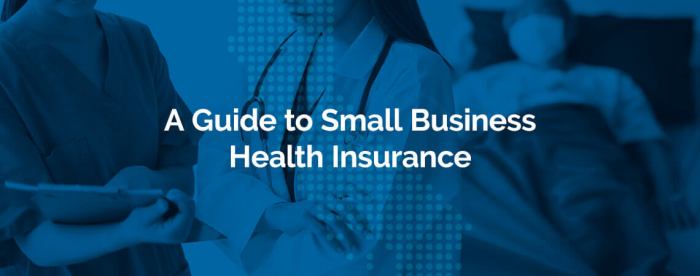 A Guide to Small Business Health Insurance | Health for CA