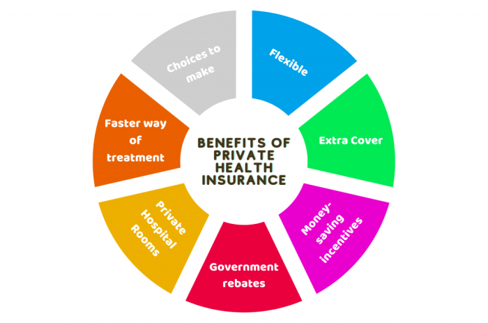 Private Health Insurance for Small Businesses Private Health Insurance for Small Businesses